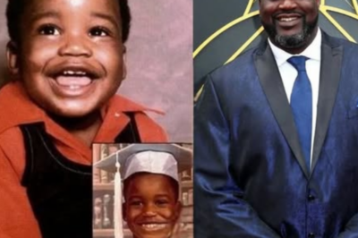 Shaquille O’Neal: From NBA Legend to Business Tycoon – A Story of Success Beyond the Court