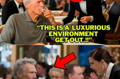 Liberal Waitress Mocks Clint Eastwood in a Luxury Restaurant, Not Knowing He Owned It