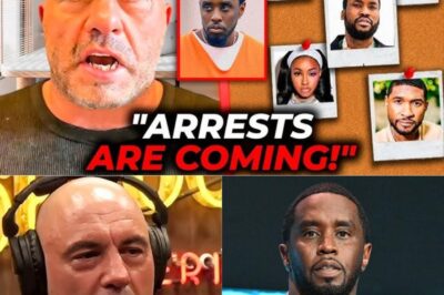 Joe Rogan Leaks Full List of Celebrities Involved with Diddy Facing Prison: An In-Depth Investigation