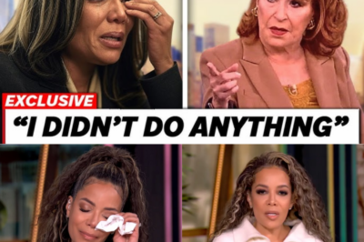 Sunny Hostin Breaks Down in Tears as ‘The View’ Faces Cancellation Amid Explosive Defamation Lawsuit: A 3,000-Word Report