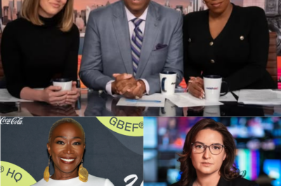 Fans Go Wild as MSNBC’s Rebecca Kutler Faces Backlash After Joy Reid’s Sudden Firing and Mysterious Silence