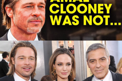 Brad Pitt Reveals the Real Reason Behind George Clooney’s Divorce: Exclusive Insights