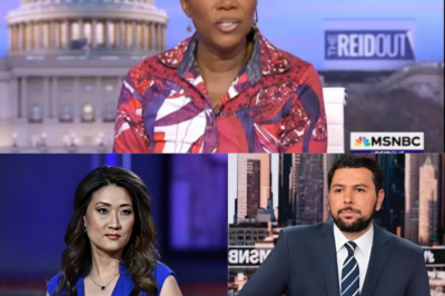 MSNBC’s Surprising Shakeup: Joy Reid and Three Veteran Anchors Fired – What’s Really Happening?