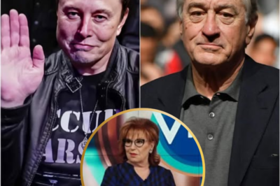 Robert De Niro Defends Joy Behar and Slams Elon Musk on The View: “He Doesn’t Deserve Your Trust”