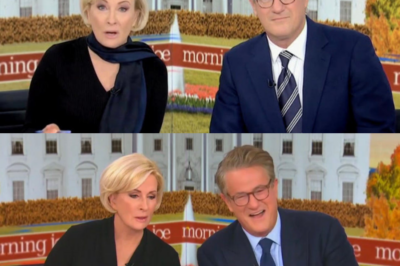 Despite poor ratings, two MSNBC stars will remain— Why Is the Network Being Redesigned?
