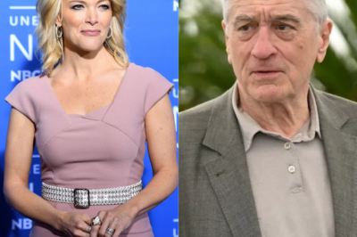 The studio is left stunned by Robert De Niro’s eight-word response to Megyn Kelly’s controversial remark.