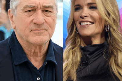 DE NIRO CLAPS BACK! 9-WORD BOMBSHELL After Megyn Kelly Calls Him “Extremely Stupid” – Hollywood Is STUNNED!