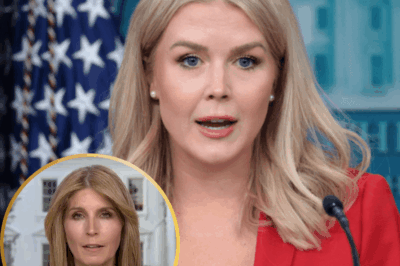 Fans Are Astounded by Karoline Leavitt’s Explosive Reaction to Nicolle Wallace: Examining the Startling Cause of Her Outburst