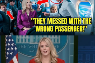 Karoline Leavitt’s audacious action shocks everyone and restores the teen’s dignity after a flight attendant destroys his first-class ticket.