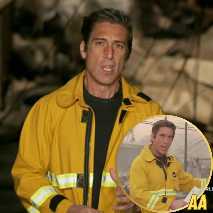 David Muir’s Emotional Goodbye Leaves Fans Stunned His Final Message