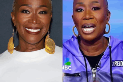 Joy-Ann Reid Upends the Media Landscape with the Launch of “The Joy Reid Show”—A Bold New Platform That Promises to Unveil Hidden Truths and Amp up Silenced Voices