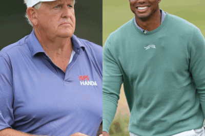 ‘Prove Monty wrong’: Tiger Woods gets support from fans to hit back at Colin Montgomerie’s claim he should retire