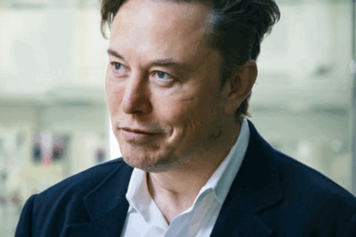 Extremely hot: Bitcoin’s father threatens Elon Musk’s throne
