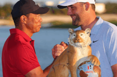 Scottie Scheffler directly stated that comparing him to Tiger Woods is truly ‘ridiculous.’