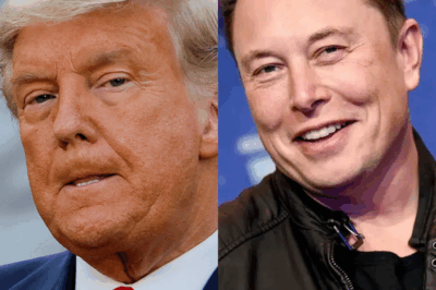 Do you know? Elon Musk is richer than Donald Trump is nearly 78 times higher than