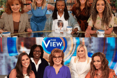 BREAKING: ‘The View’ SHUTS DOWN—Is This the End for the Controversial Show? Fans React!