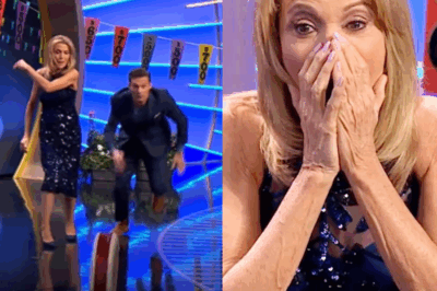 What really happened when Ryan Seacrest tried to surprise Vanna White? The incident that halted production and required immediate medical attention.