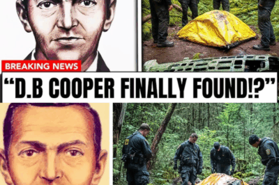 After 54 Years, the True Identity of D.B. Cooper Has Finally Been Revealed: An Unprecedented Breakthrough in the Infamous Hijacking Case