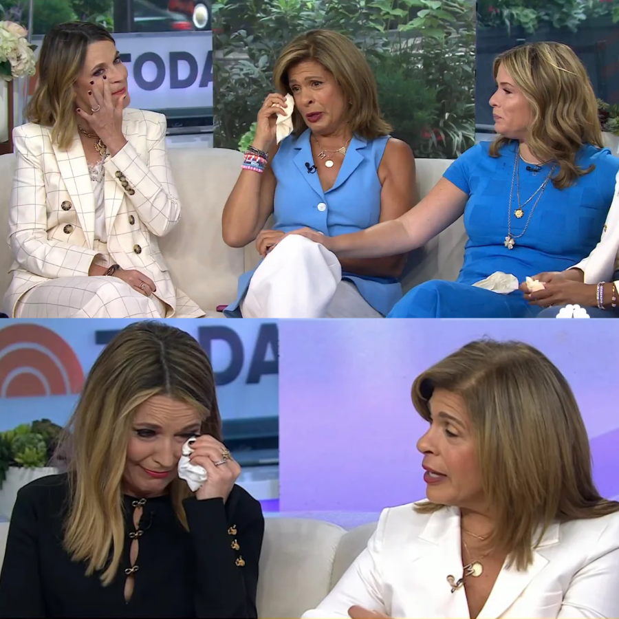 Breaking News ‘Today’ Show Host Sudden OnAir Firing Stuns Viewers