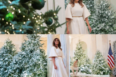 Melania Trump Kicks Off the Holiday Season in Style: Welcoming the White House Christmas Tree in Elegant Fashion