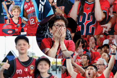 Thursday Nights with the Red Army: A Deep Dive into a Cultural Phenomenon