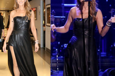 Celine Dion’s Memorable Appearance on The Tonight Show with Jimmy Fallon in July 2016: A Deep Dive into the “Wheel of Musical Impressions” Segment