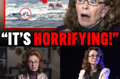 AFTER 30 YEARS OF SILENCE: Linda Moulton Howe Breaks. The Chilling Truth She Saw in Antarctica Will Rewrite Human History.