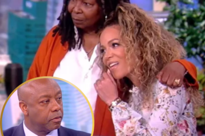 The Shocking Turn of Events on The View: Gretchen Wilson’s Blunt Statement Sparks Chaos and Leaves Audience in Shock