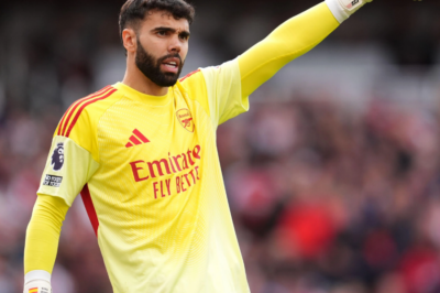 David Raya Surpasses Last Season’s Golden Glove Clean Sheets: A Sign of Goalkeeping Excellence in the Premier League