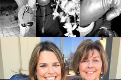 BREAKING: We now know what really happened to Nancy Guthrie. Investigators have a shocking new theory: a routine burglary that spiraled out of control. Find out what police allegedly found at the scene that points to this terrifying twist.