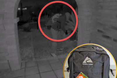 The Guthrie family thought the mystery of the Ozark Trail was behind them—until now. Walmart just released the credit card data from that infamous Hiker Pack purchase, and the identity of the buyer changes everything. You won’t believe who it belongs to