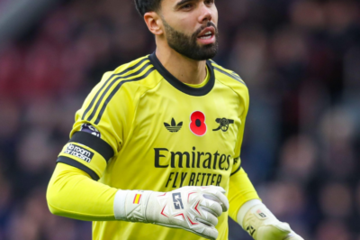 David Raya: The Guardian of the Goal — A Deep Dive into His Remarkable Clean Sheet Record in the Premier League