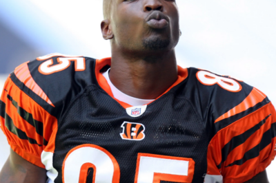 Chad Johnson Expresses Deep Desire to Have Spent Entire Career with Cincinnati Bengals