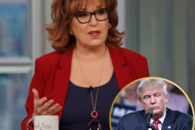 Joy Behar’s Controversial Remarks About Donald Trump on The View Spark Outrage and Draw Strong Reactions from the White House