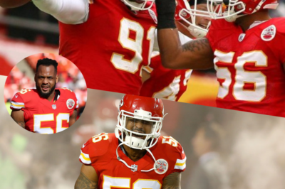 Derrick Johnson Inducted into the Chiefs Hall of Fame: Celebrating a Legendary Linebacker’s Remarkable Career