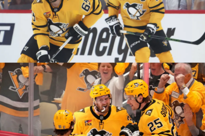 Penguins Extend the Series: A Deep Dive into Their Remarkable Journey and Conservation Triumphs