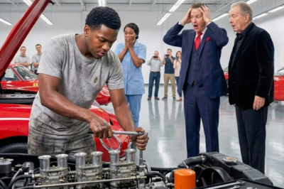 Billionaire’s Lavish Ferrari Repairs Fail to Deliver Results Until Unexpected Visitor Turns Everything Around