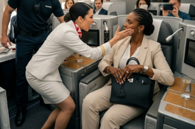 Shock and Controversy Erupts as Flight Attendant Slaps Black CEO on Her Own Jet, Then Fires Entire Team Within Minutes