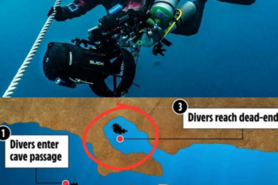 They thought they had forever to explore… until the current shifted, the light vanished, and the roof became their tomb. Five divers. One deadly miscalculation. NO WAY BACK.